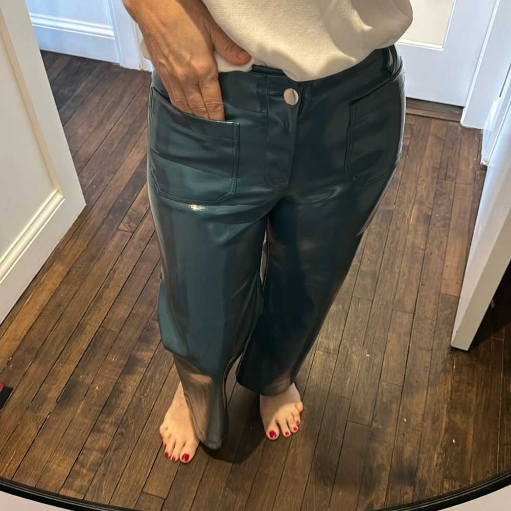 Anthropologie Colette pants faux leather has a mark and will not come out